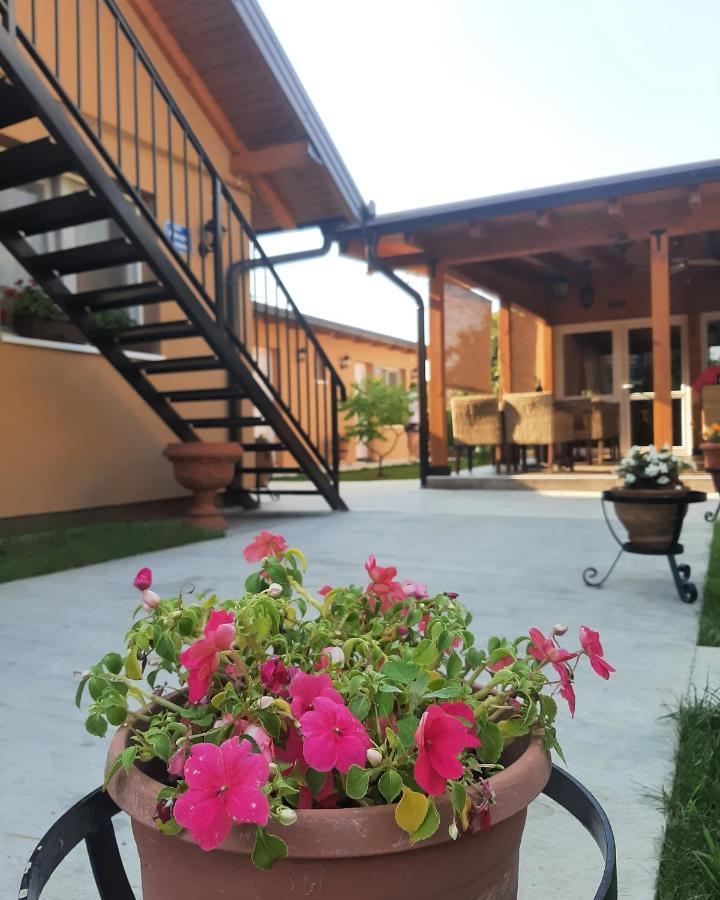 Villa Klara Novi Sad Exteriör bild